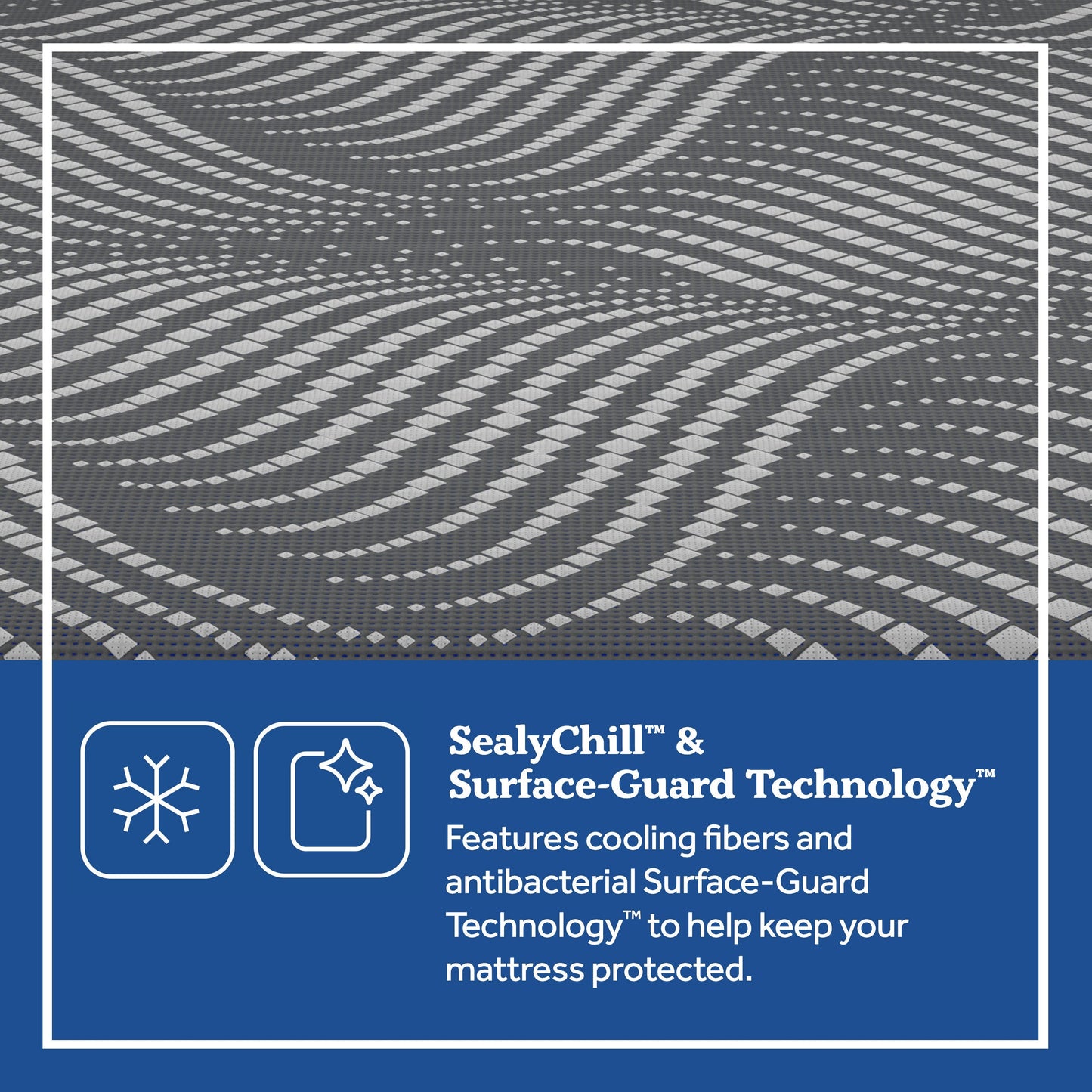 Sealy Hybrid Albany Medium