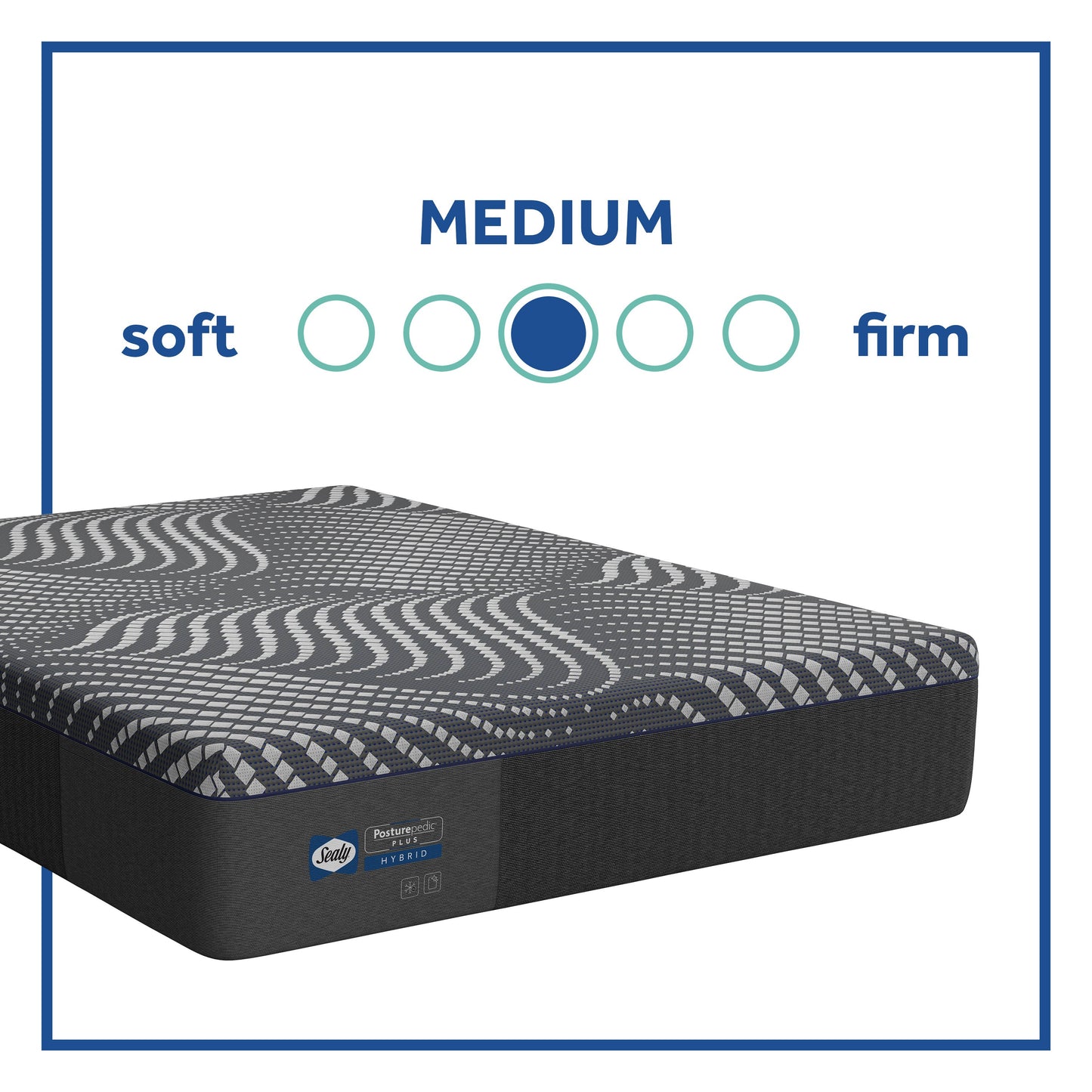 Sealy Hybrid Albany Medium