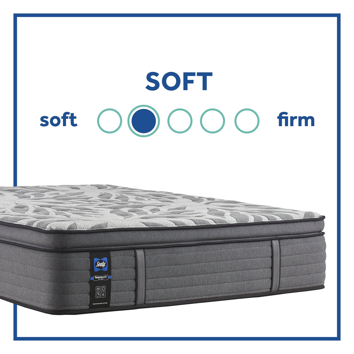 Sealy Cliff Rose Plush Euro Pillow Top