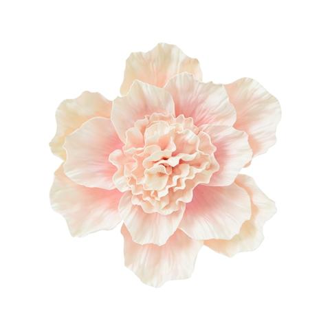 Wall Flower Peony Small Pink