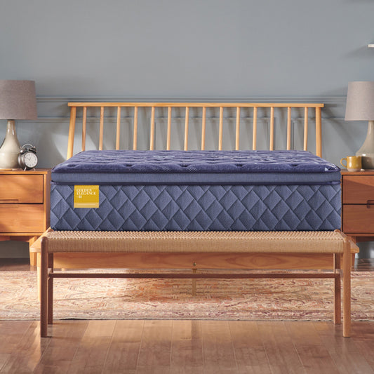 Sealy Carano Bay Soft Euro Pillow Top
